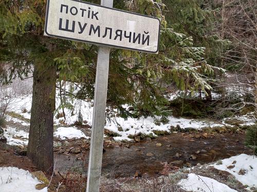 ділянка за адресою с. Гриньків, Урочище Шумляче