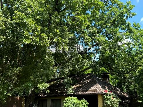 дом по адресу с. Белогородка, провулок Жовтневий, 35А