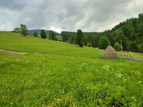 ділянка за адресою коротеньке