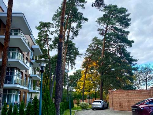 квартира по адресу львівська бічна, 1а
