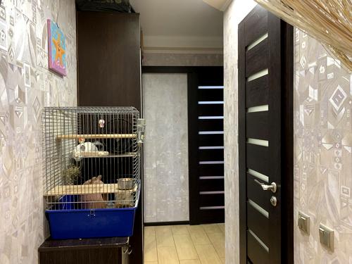 квартира за адресою Бельфорський бульв., 3