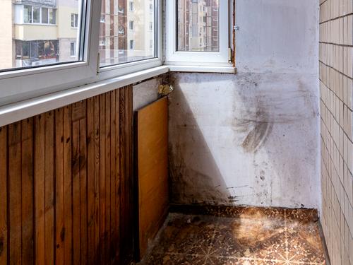 квартира по адресу Свободы просп., 4
