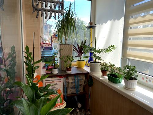 квартира за адресою Бельфорський бульв., 3