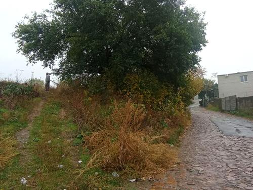 ділянка за адресою Павла Тушкана вул. (Вільямса), 93