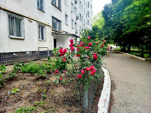 квартира по адресу Овидиопольская дорога ул., 3