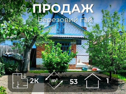 дом по адресу Бобровицкая ул.