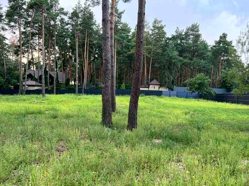 ділянка за адресою Сосновий Бір вул.