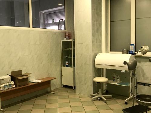 комерційна за адресою Раїси Окіпної вул., 4