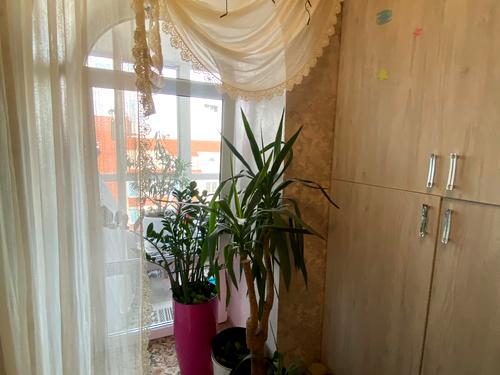 квартира за адресою Гетьмана Мазепи вул. (Красовського), 6г
