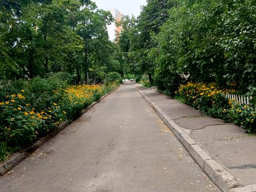 квартира по адресу Пантелеймона Кулиша ул. (Челябинская), 9