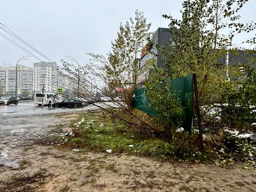 участок по адресу Степана Рудницкого ул. (Вильямса академика), 12