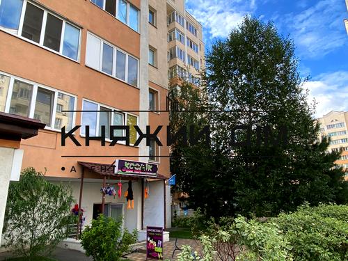квартира за адресою с. Софіївська борщагівка, Чубинського вул., 4