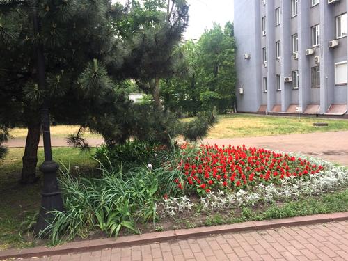 квартира по адресу Левка Лукьяненко ул. (Маршала Тимошенко), 18