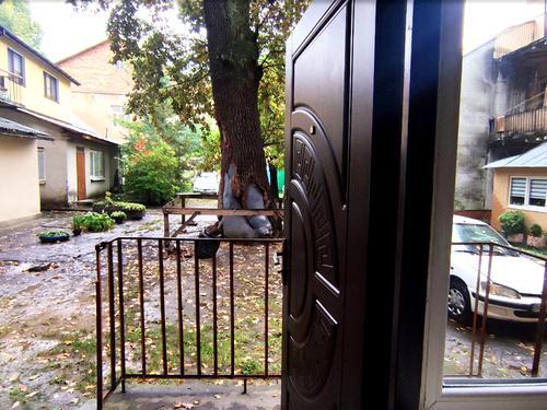 квартира по адресу Львов, Шептицких ул., 19