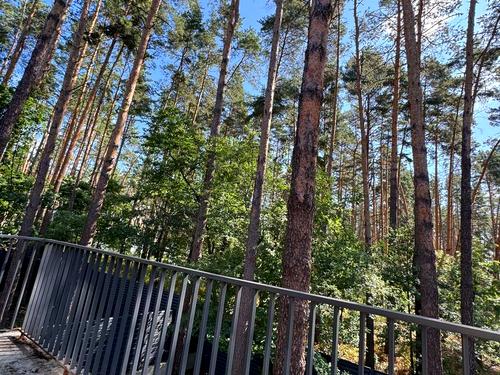дом по адресу Революції, 2х