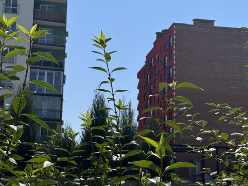 квартира по адресу Национальной Гвардии ул., 3