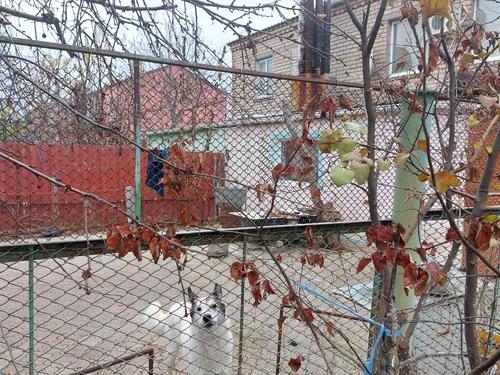 квартира по адресу Набережна, 7
