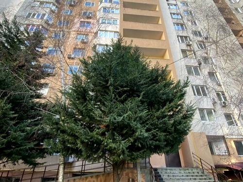 квартира по адресу Люстдорфская дорога ул., 59
