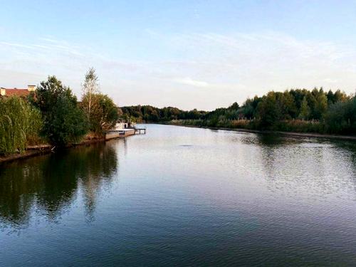 будинок за адресою с. Северинівка, Скоропадського