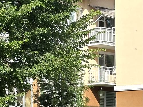 квартира по адресу Шота Руставели ул., 6