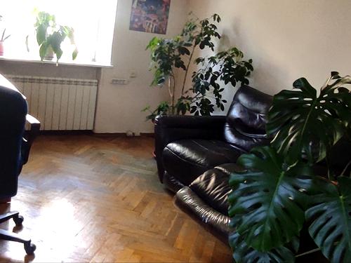 квартира за адресою Білоруська вул., 34