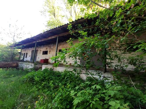 комерційна за адресою Степана Бандери вул. (Попова), 14 А