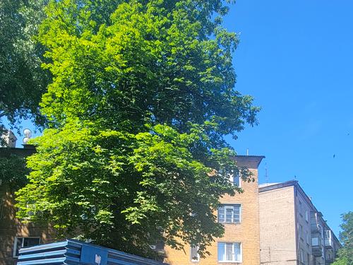 квартира по адресу Аношкина просп. (Аношкина), 108