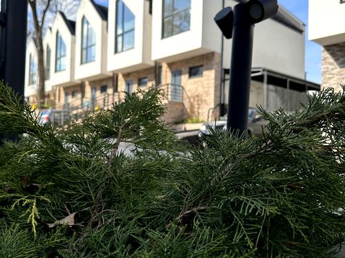 будинок за адресою Євгена Коновальця вул.