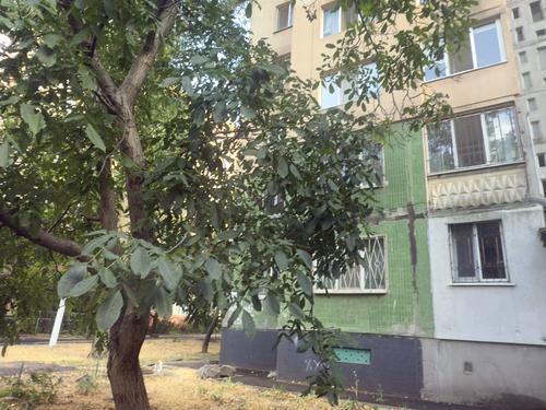 квартира по адресу Академика Королёва ул., 100