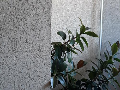 квартира по адресу Независимости ул., 4