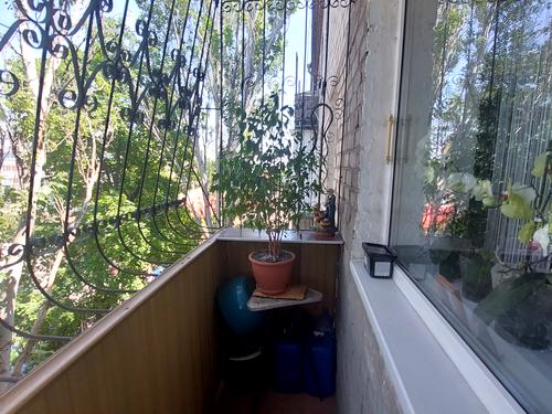 квартира за адресою Велика Морська вул., 34