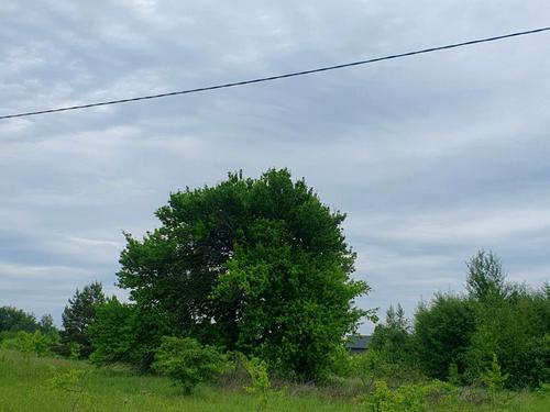 ділянка за адресою с. Ясногородка, 