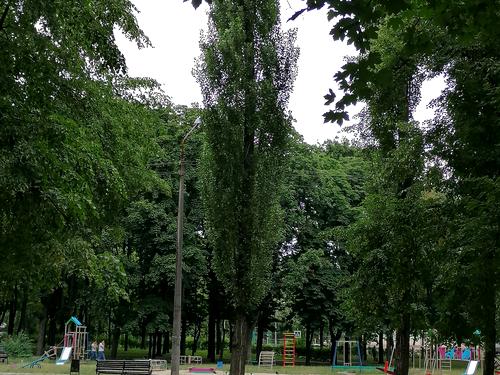 квартира за адресою Івана Дзюби вул. (Сім'ї Сосніних), 12-А