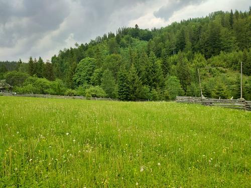ділянка за адресою коротеньке