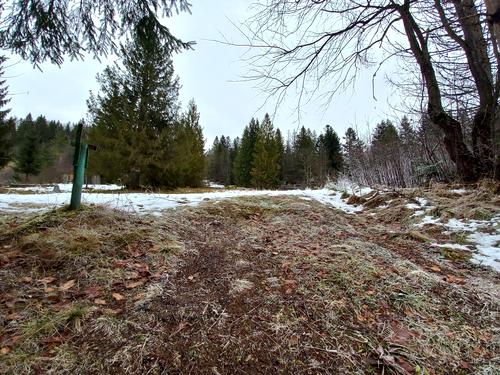 ділянка за адресою с. Гриньків, Урочище Шумляче