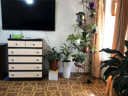 квартира за адресою Утьосова вул., 7