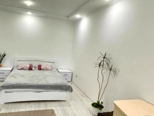квартира за адресою Лисеницька вул., 2а