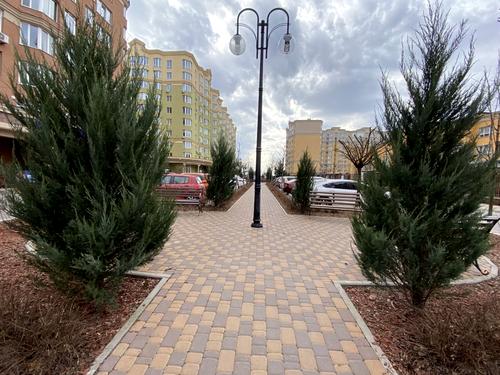 квартира за адресою Абрикосова, 5