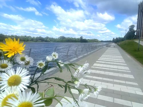 квартира по адресу Митрополита Андрея Шептицкого ул. (Анатолія Луначарського), 3-Б