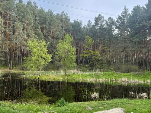 будинок за адресою дачна, 55