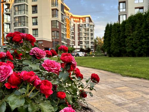 квартира за адресою смт. Гостомель, Прорізна вул., 9