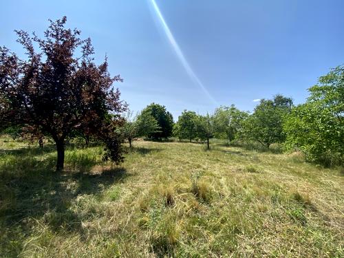 ділянка за адресою Новоміська вул.