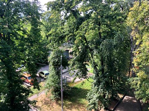 квартира за адресою Ружинська вул. (Вільгельма Піка), 7/43