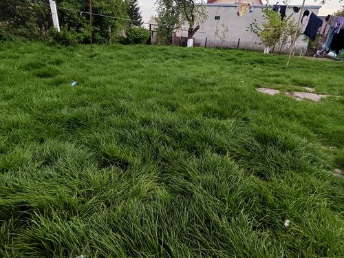 будинок за адресою смт. Куликів, Тараса Шевченка вул., 10