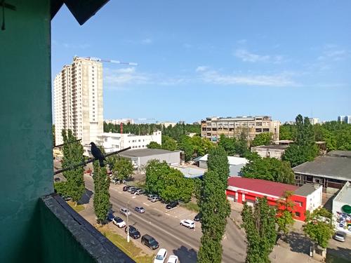 квартира по адресу Ивана и Юрия Лип ул. (Гайдара), 24