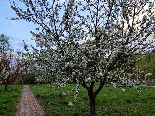 будинок за адресою Лиса Гора, 8