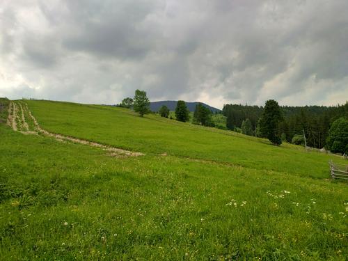 ділянка за адресою коротеньке