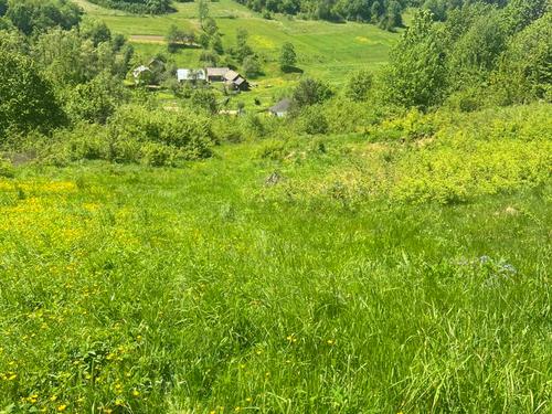 будинок за адресою с. Бистриця-Гірська (Бистриця), Ювілейна вул.