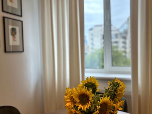 квартира за адресою Олександра Кониського вул., 28А-30А