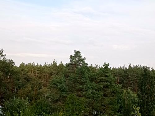 квартира за адресою Світла вул., 6А